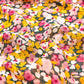 Bright Beginnings Hijab
